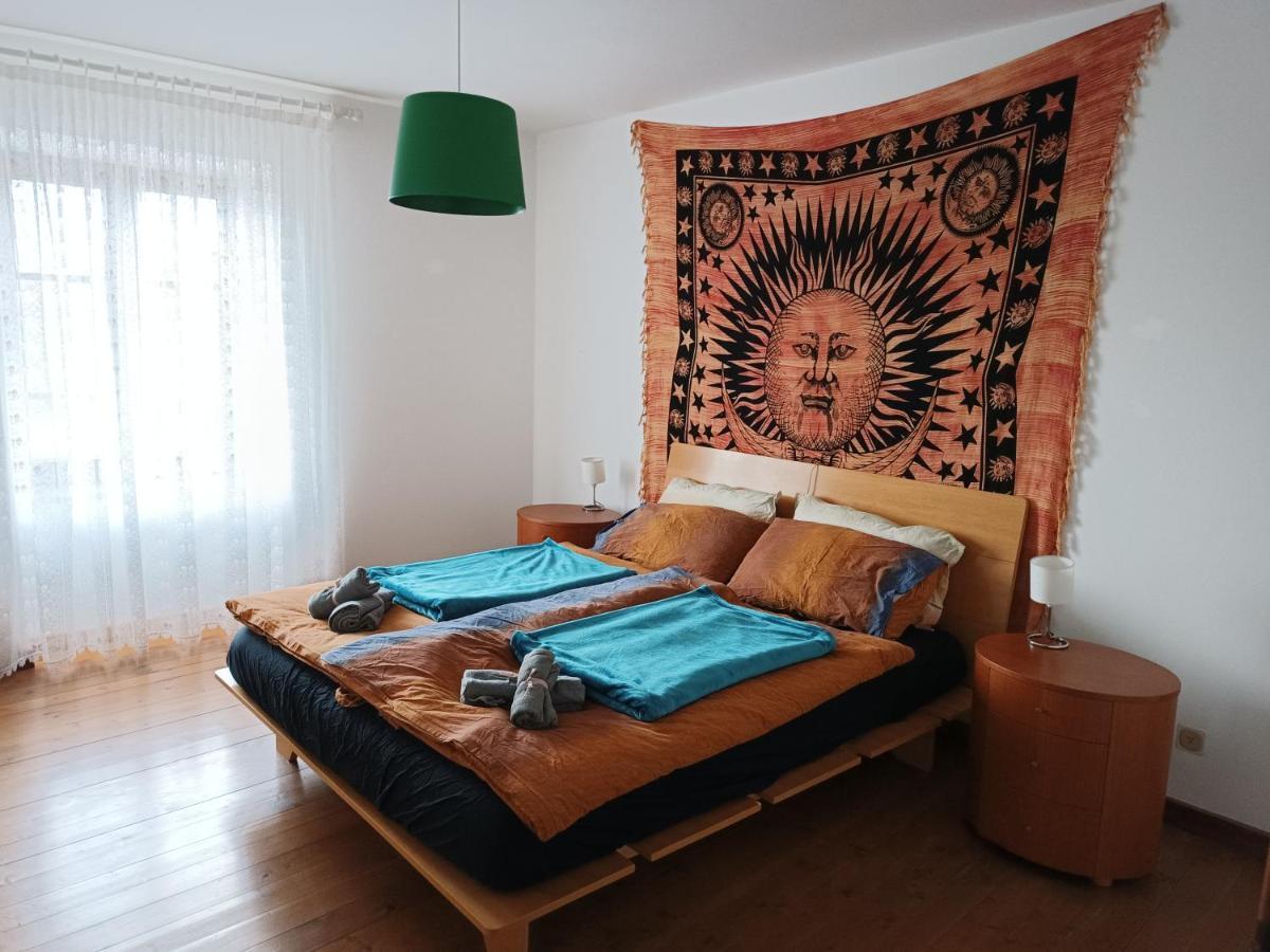 Casa Vacanze Lavanda & Rosmarino Telve 外观 照片